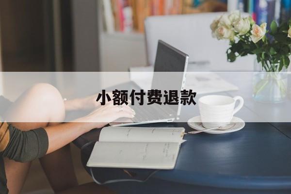 小额付费退款(小额付费退款怎么退)